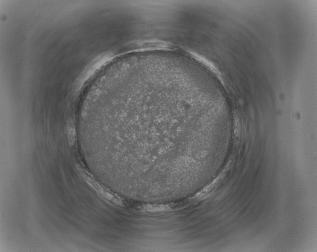 X0000078841407200611271310