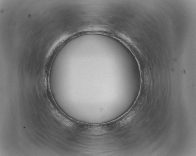 X0000078841408200611271310