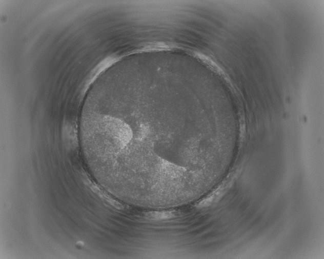 X0000078841409200611271310