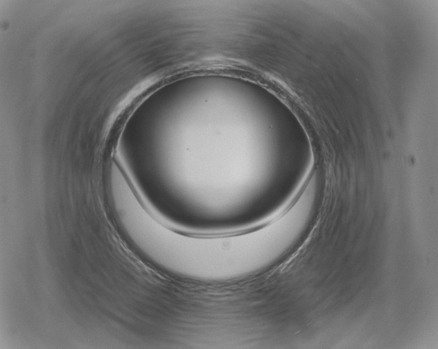 X0000078841410200611271310