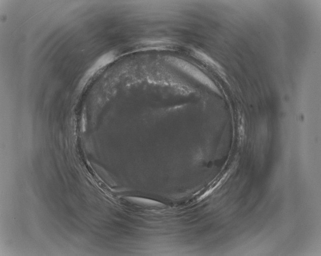 X0000078841411200611271310