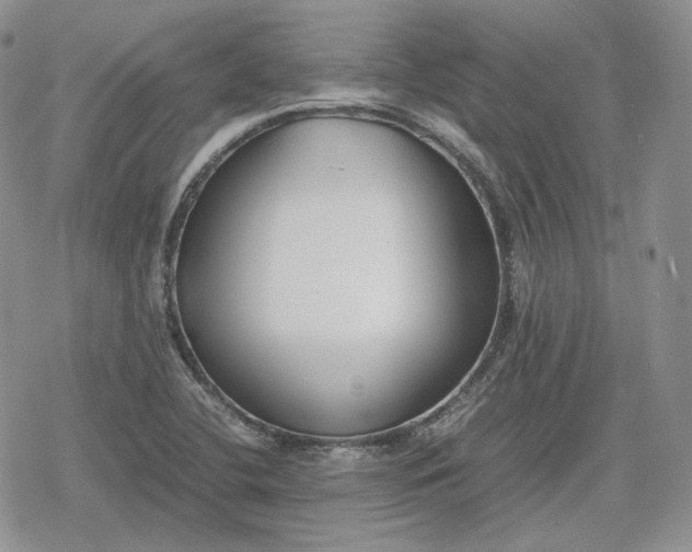 X0000078841412200611271310