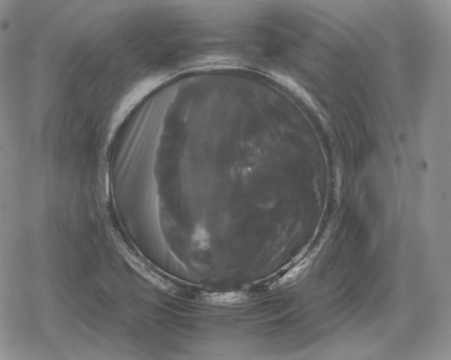 X0000078841413200611271310