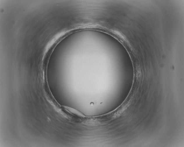 X0000078841414200611271310