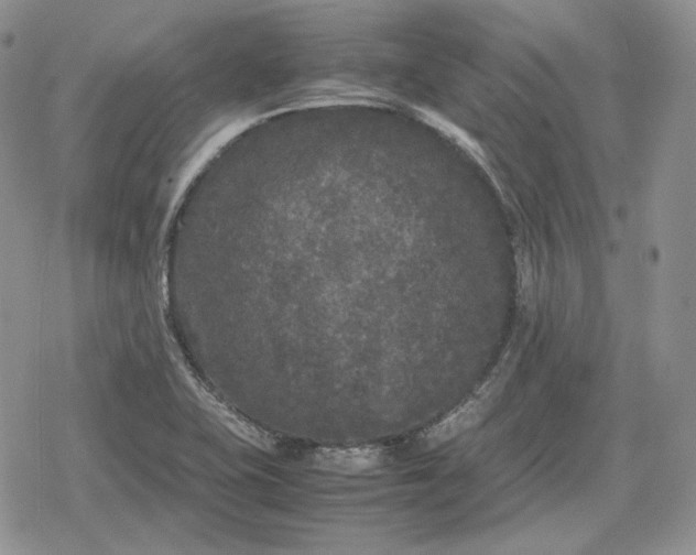 X0000078841415200611271310