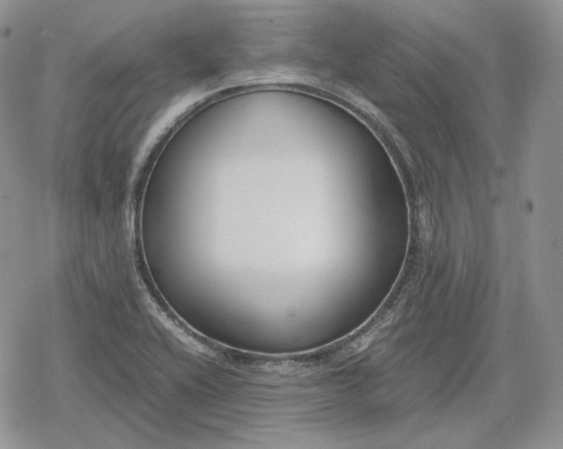 X0000078841416200611271310