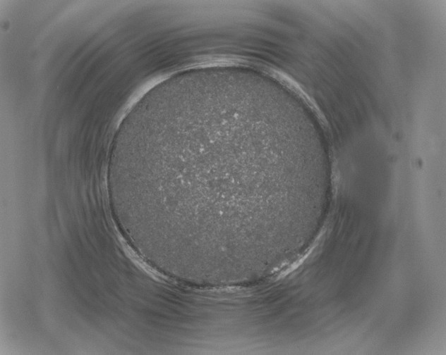 X0000078841417200611271310