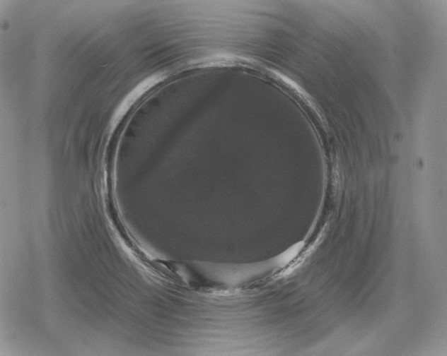 X0000078841418200611271310