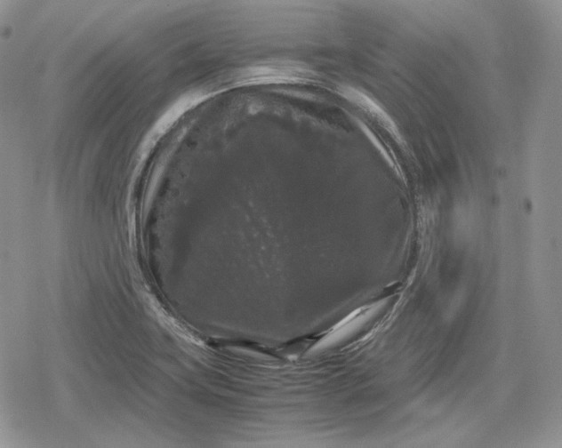 X0000078841419200611271310