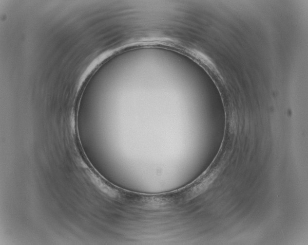 X0000078841420200611271310