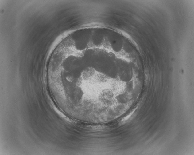 X0000078841421200611271311