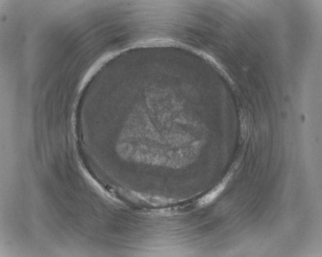 X0000078841422200611271311