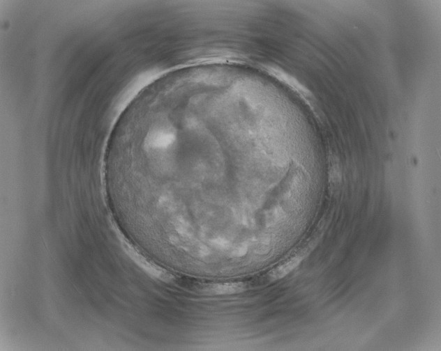 X0000078841423200611271311