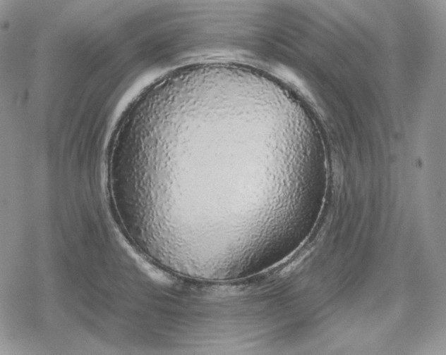 X0000078841424200611271311