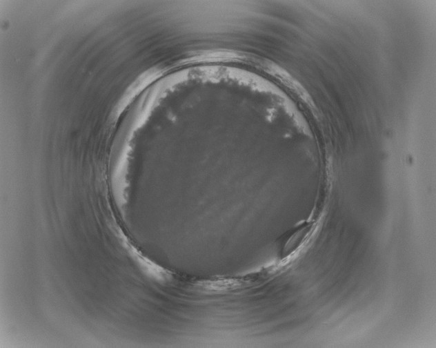 X0000078841425200611271311