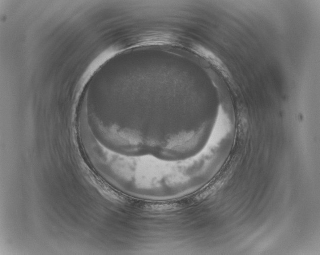 X0000078841427200611271311