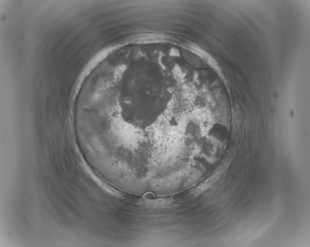 X0000078841429200611271311