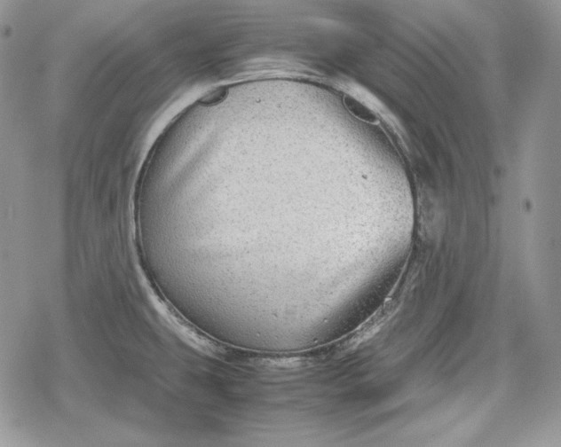 X0000078841431200611271311