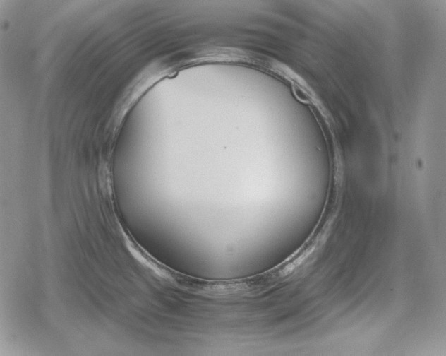 X0000078841433200611271311