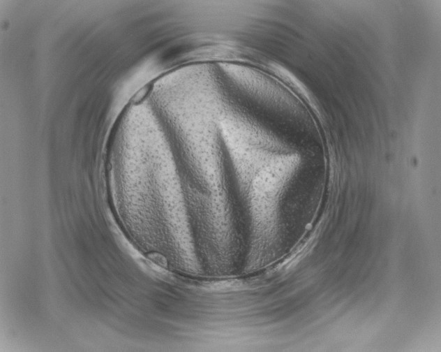 X0000078841434200611271311