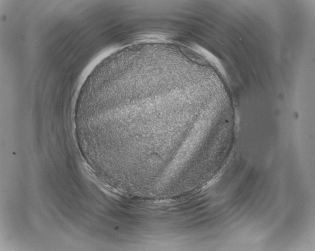 X0000078841435200611271311