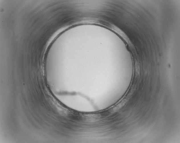 X0000078841436200611271311