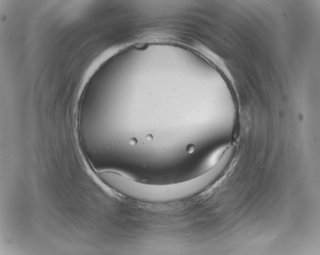 X0000078841437200611271311