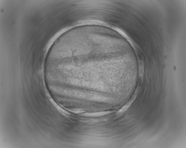 X0000078841438200611271311