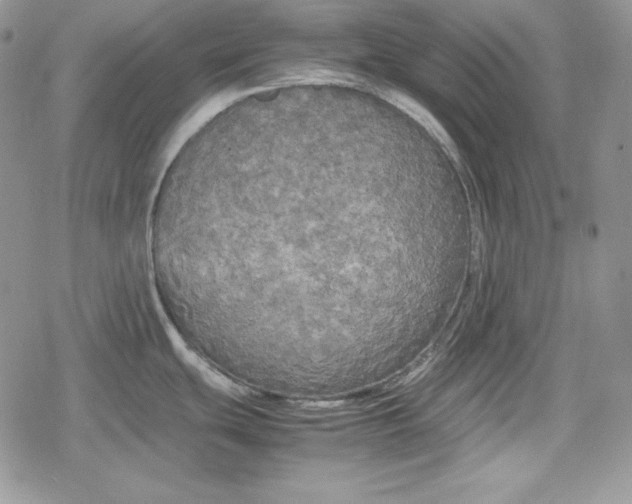 X0000078841439200611271311