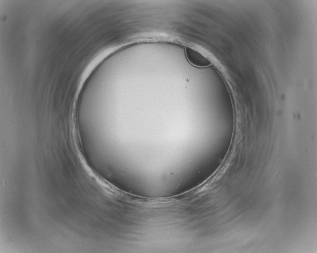 X0000078841440200611271311