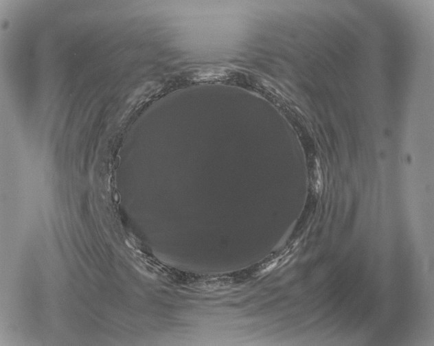 X0000078841441200611271310