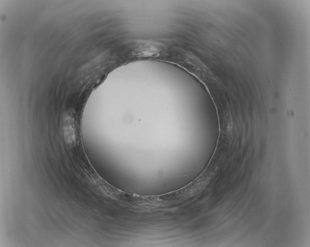 X0000078841442200611271310