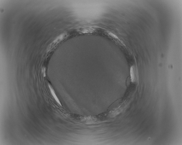 X0000078841443200611271310