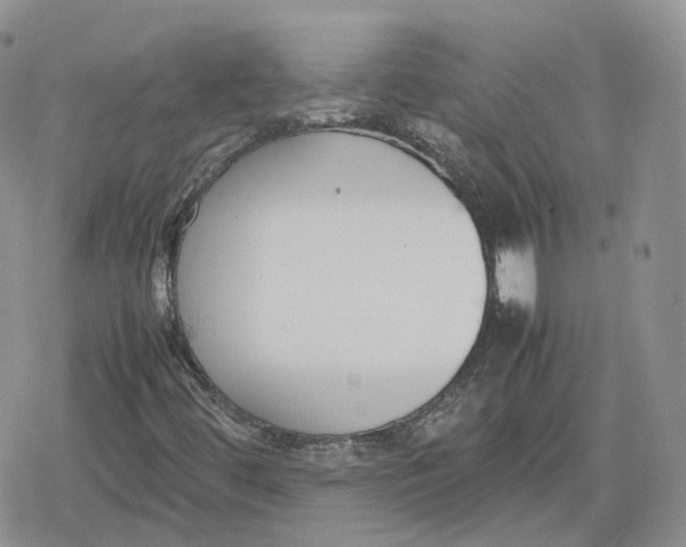 X0000078841444200611271310