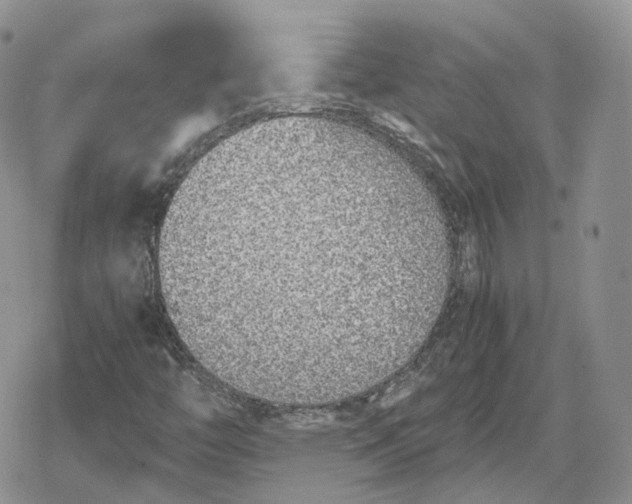 X0000078841446200611271310