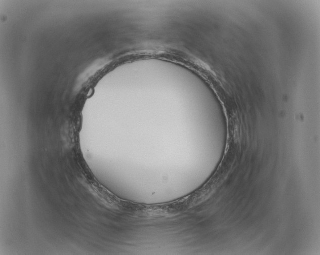 X0000078841448200611271310