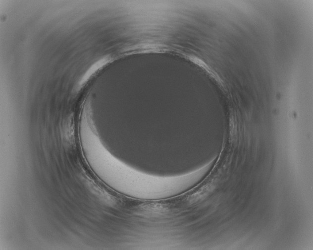 X0000078841450200611271310