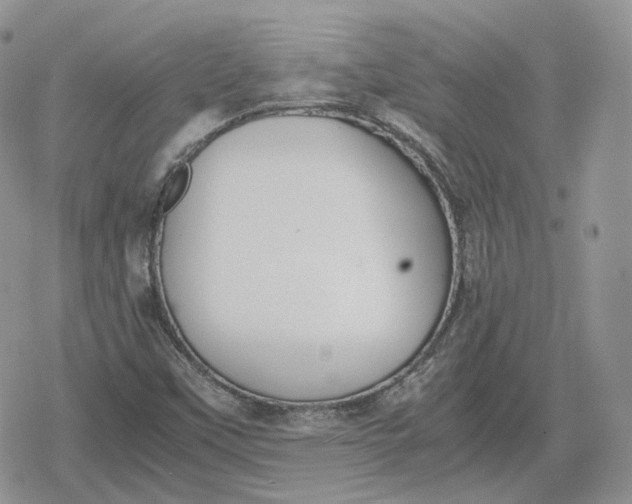 X0000078841451200611271310