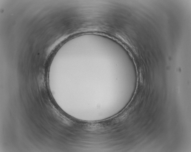 X0000078841452200611271310