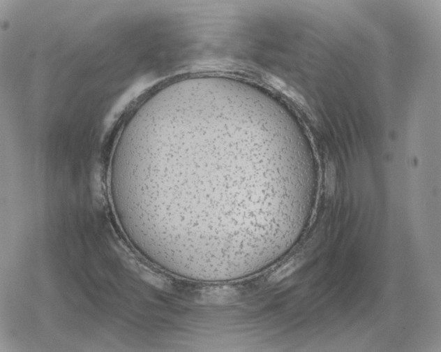 X0000078841454200611271310