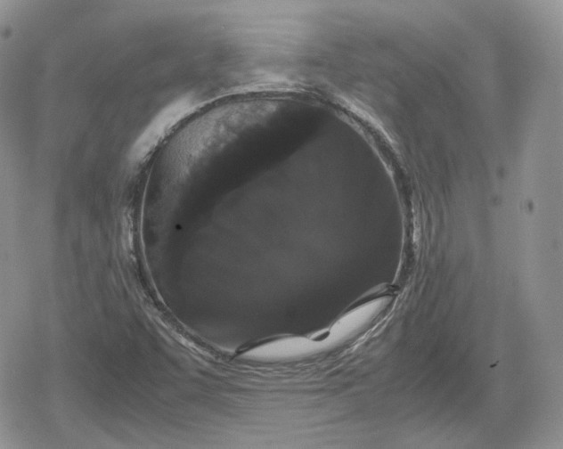 X0000078841455200611271310