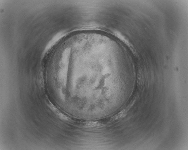 X0000078841456200611271310