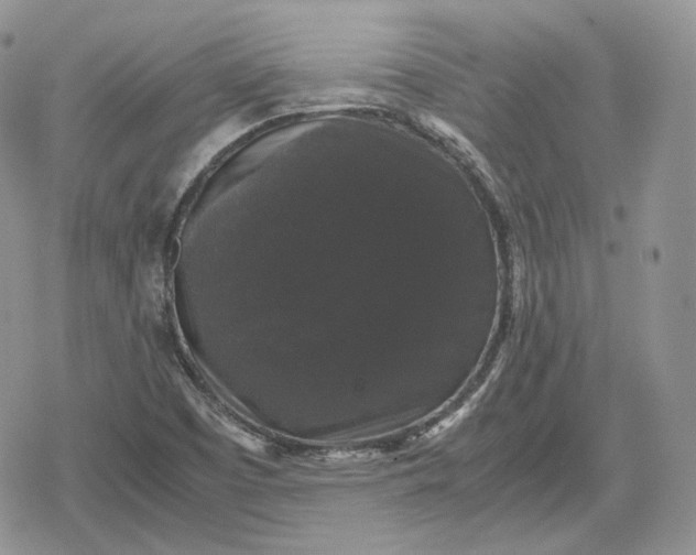 X0000078841457200611271310