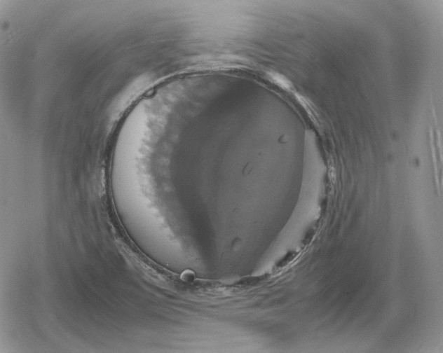 X0000078841459200611271310