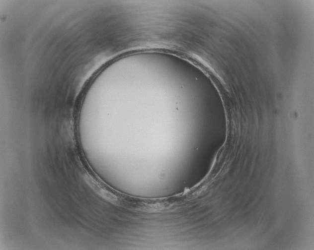 X0000078841460200611271310