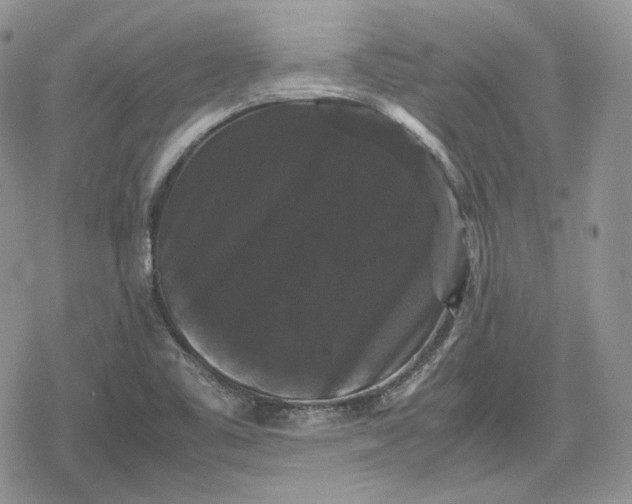 X0000078841461200611271310