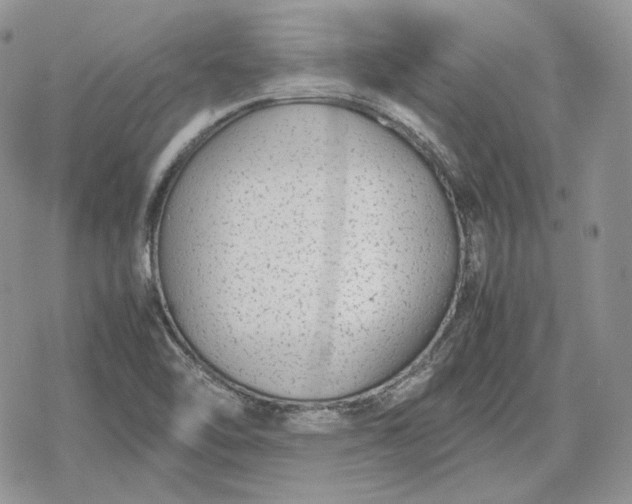 X0000078841462200611271310