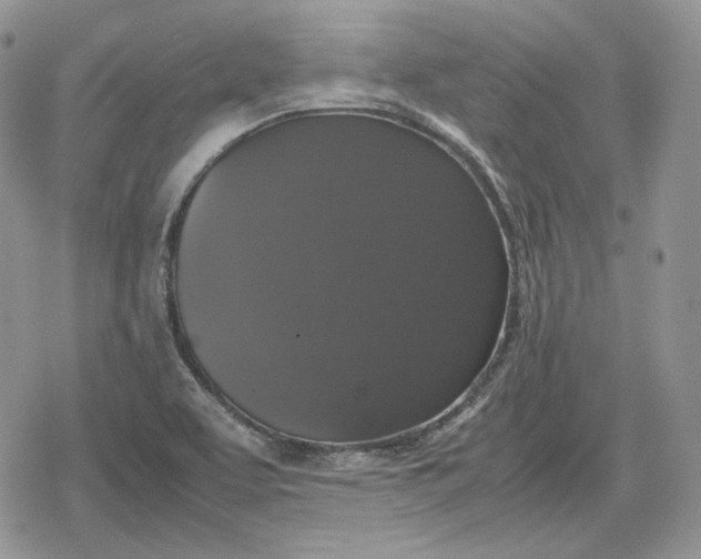 X0000078841463200611271310