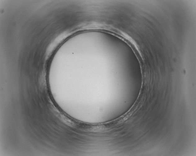 X0000078841464200611271310