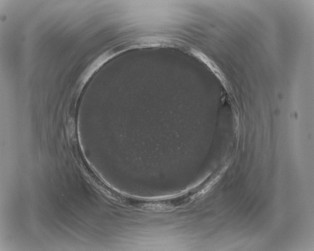 X0000078841465200611271310